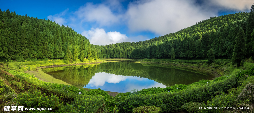 葡萄牙森林湖泊灌木风景