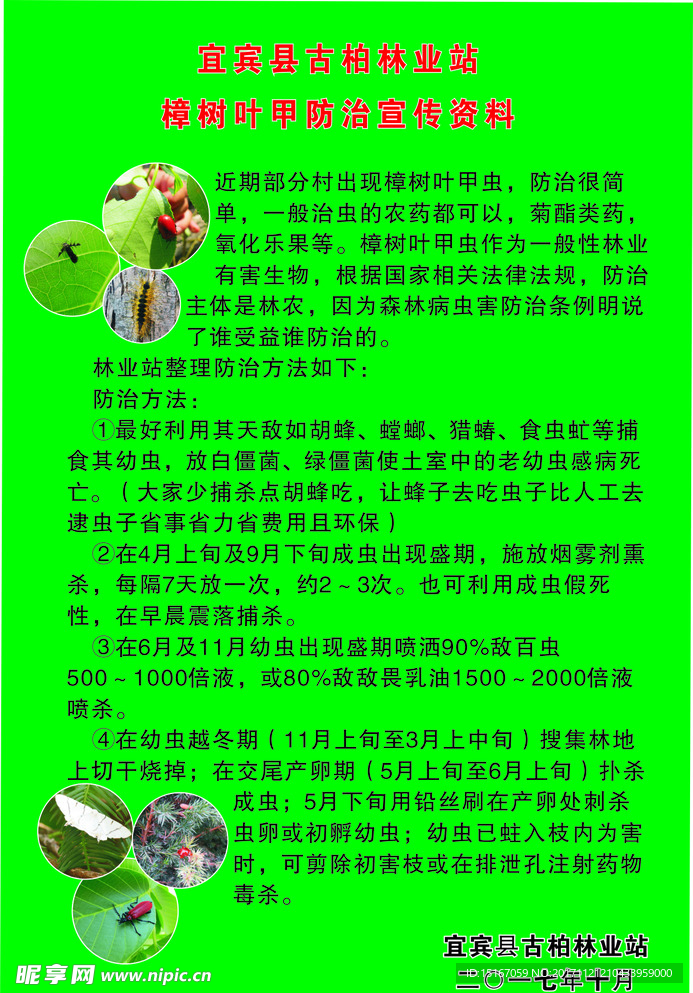 有害生物防治宣傳單
