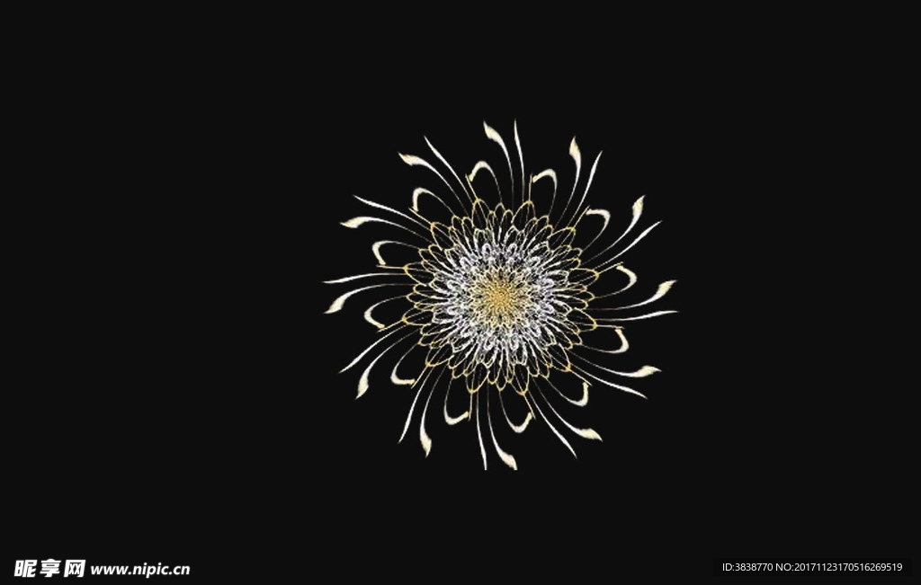 旋轉(zhuǎn)菊花