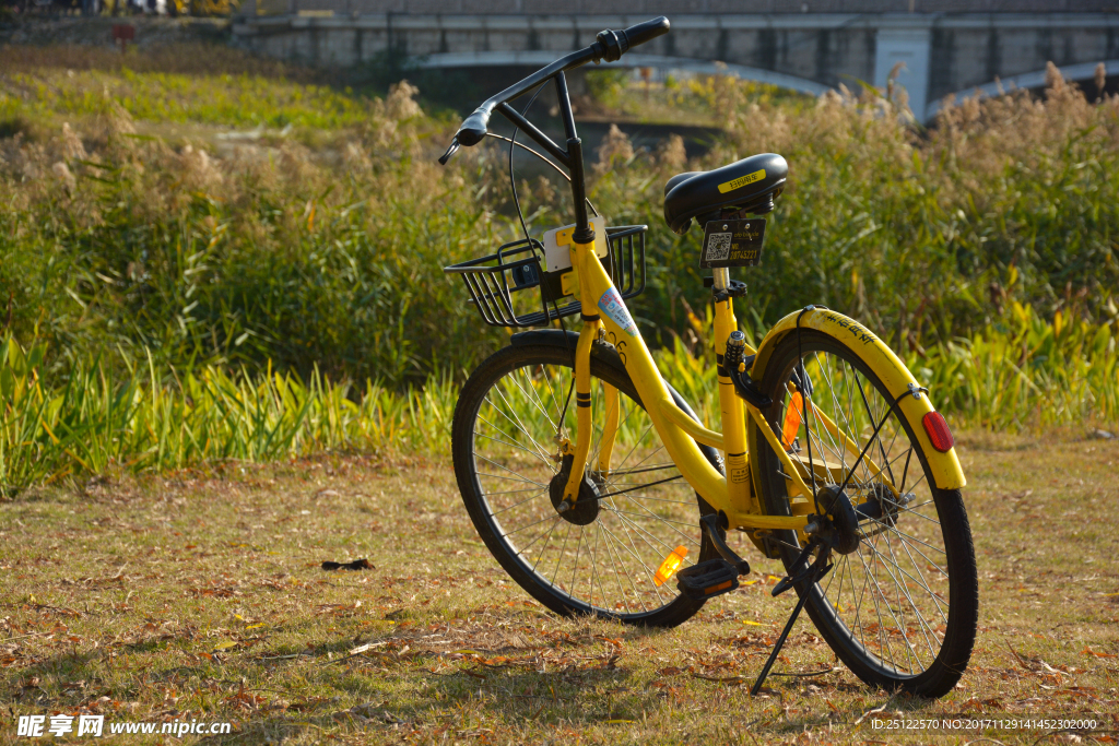 小黃車