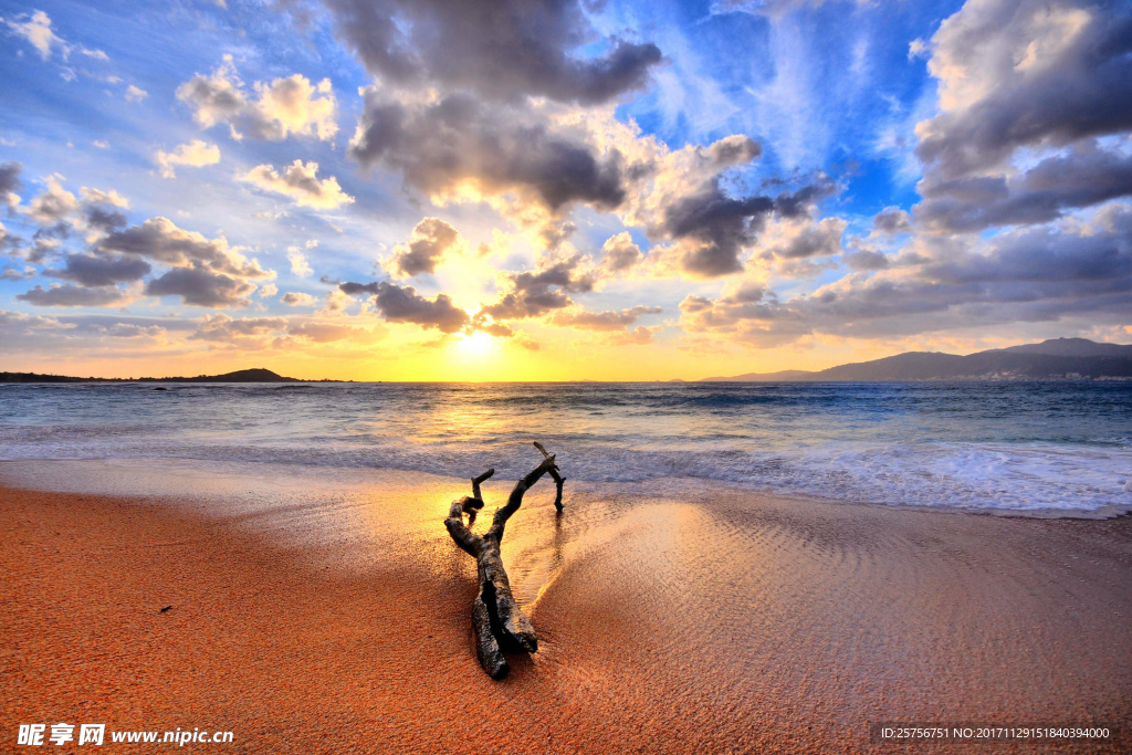 大海海濱