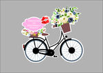 聚会婚礼party自行车单车