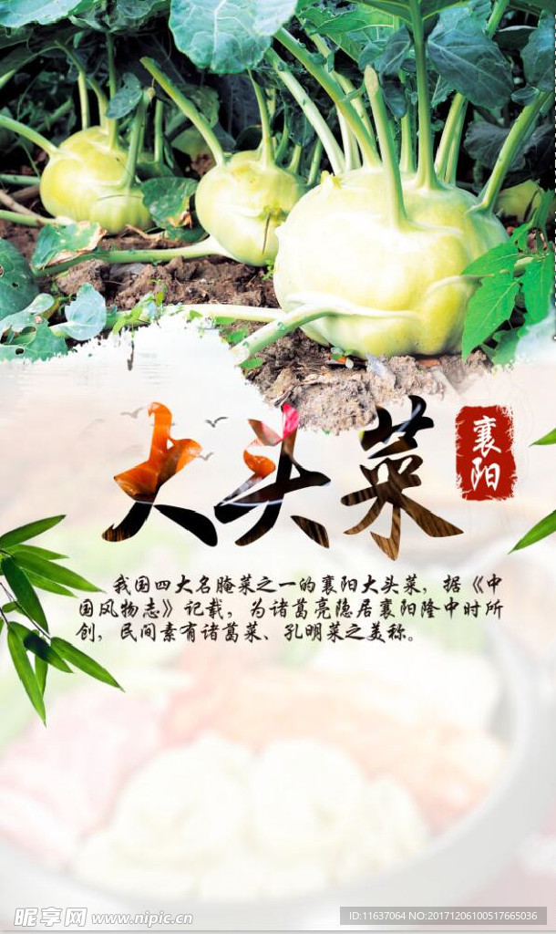大頭菜