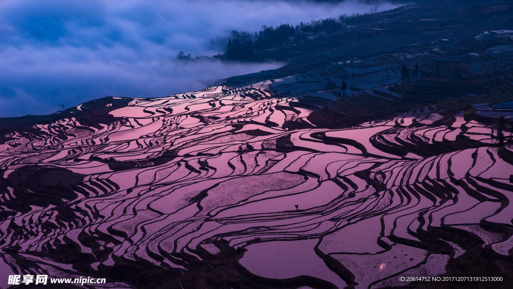 日暮下的梯田美景