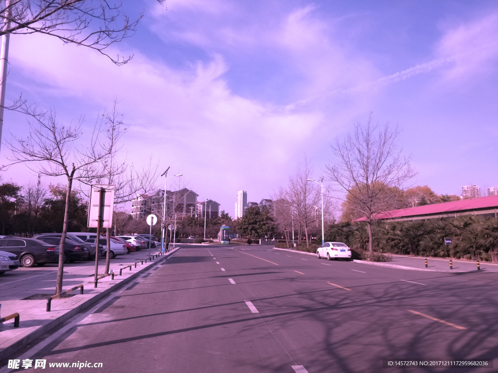 洛陽會展中心西門處風景