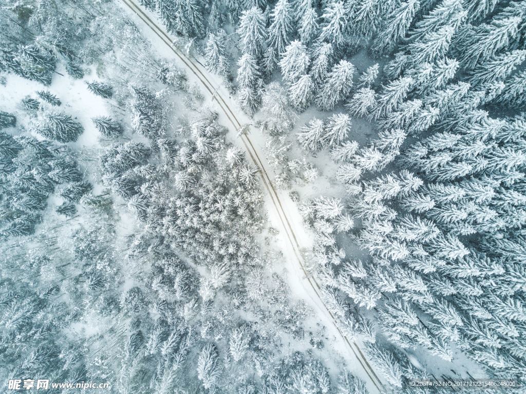 俯瞰大雪覆蓋的森林風景