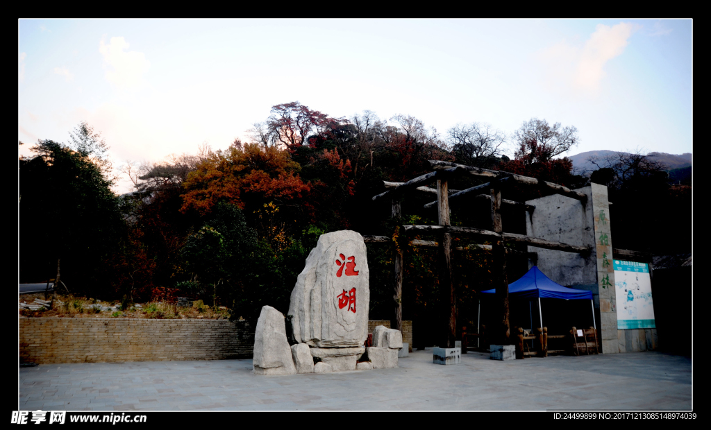 夜色汪胡