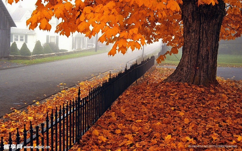 深秋風景