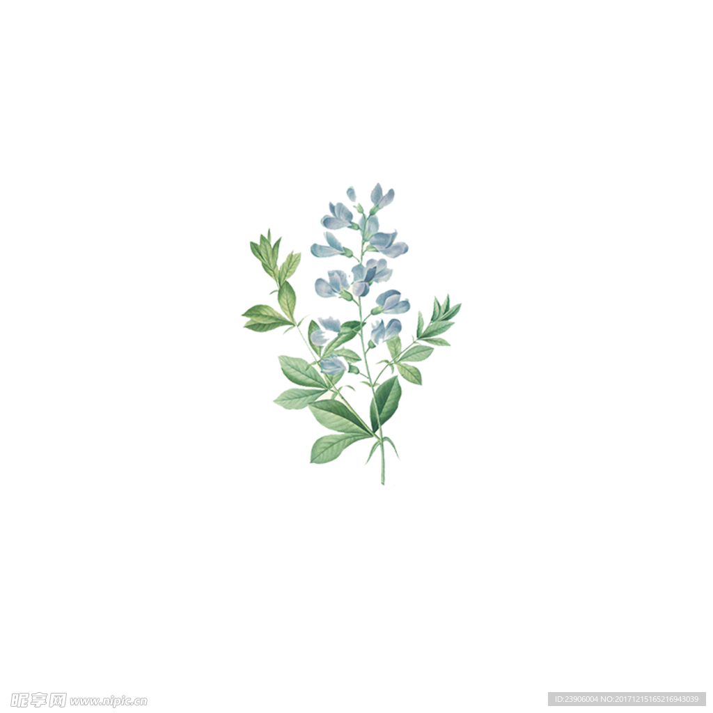 手繪免扣花