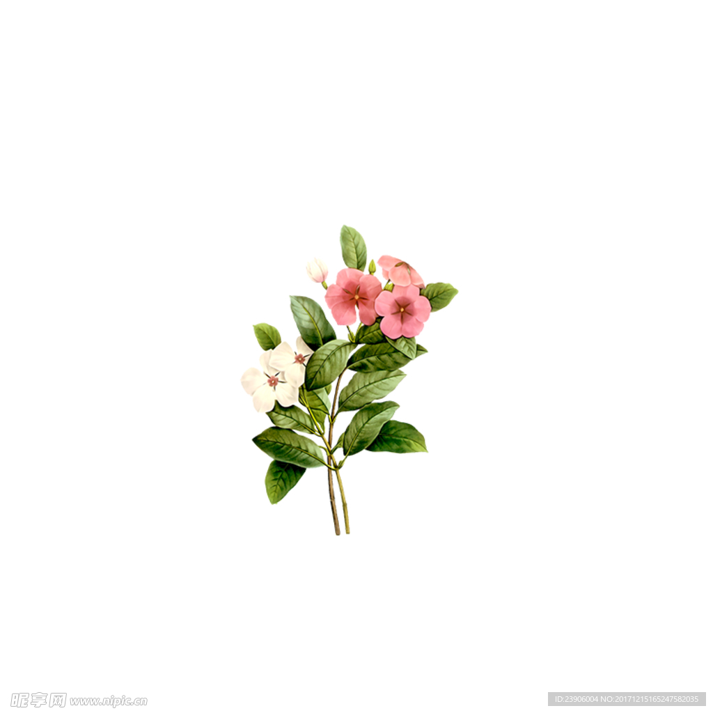手繪免扣花花