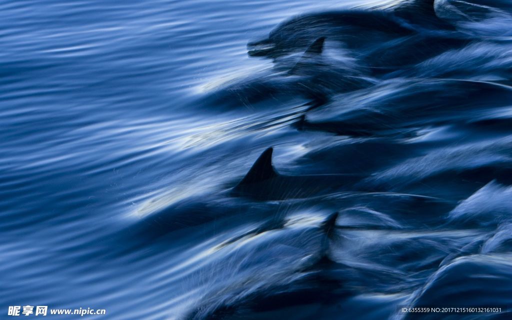 海洋世界風(fēng)光