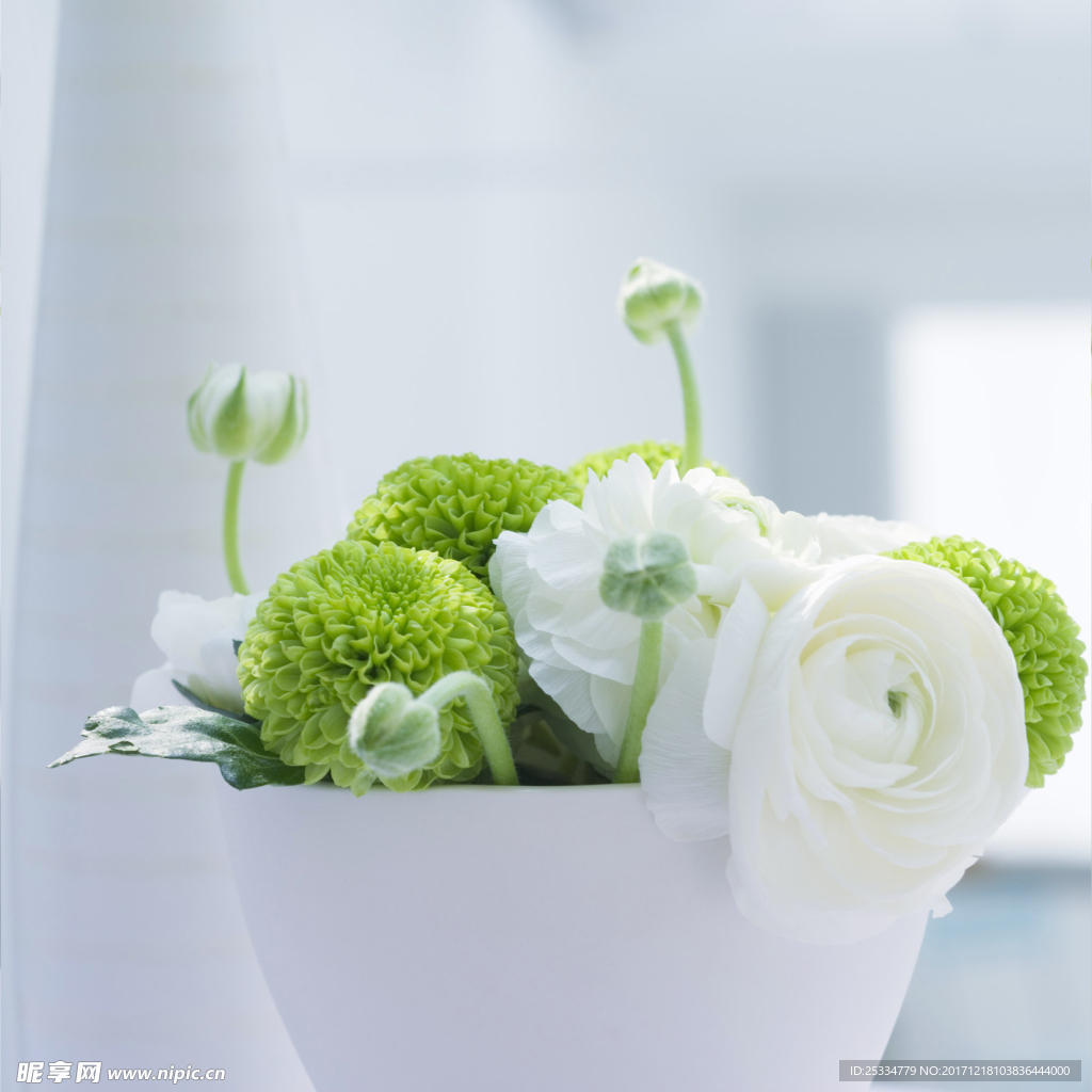 花與盆栽