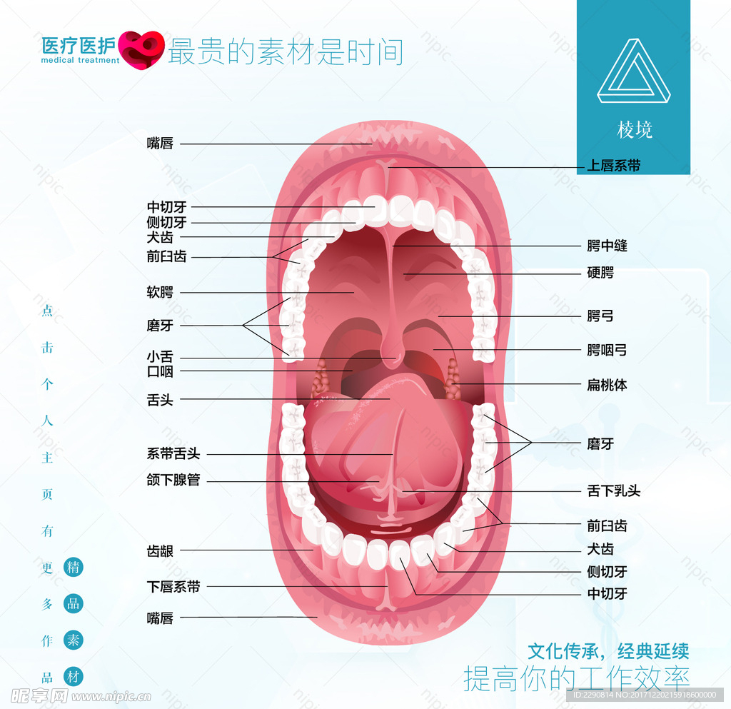 口腔