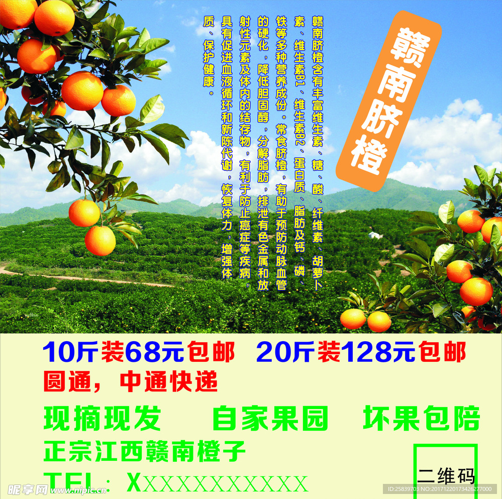 贛南臍橙   江西臍橙