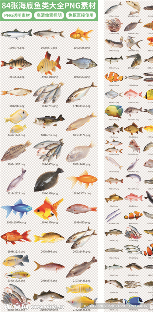 84张各种鱼类PNG免扣素材