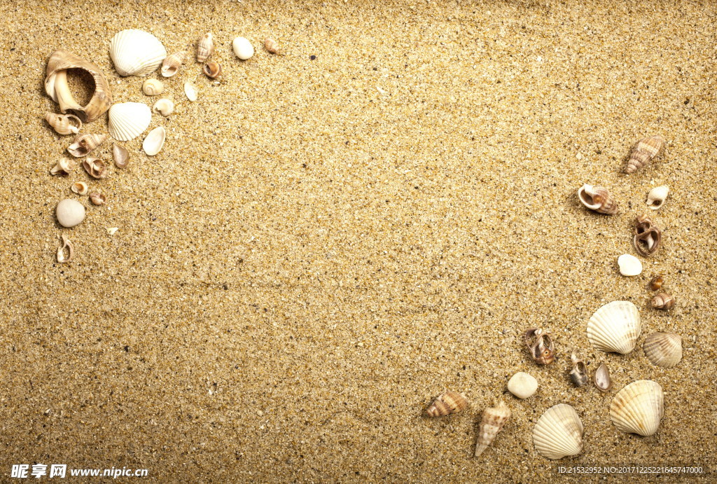 沙子贝壳唯美背景图片