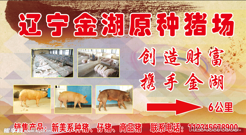 遼寧金湖原種豬場