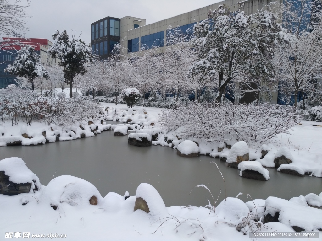 池塘冬天雪景