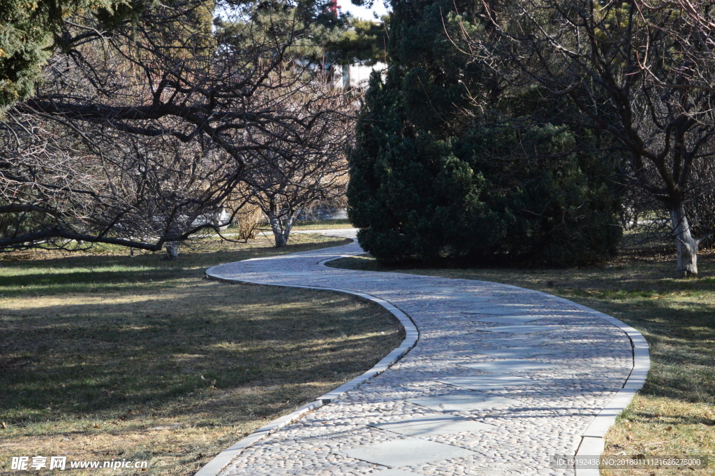 冬日中山公園