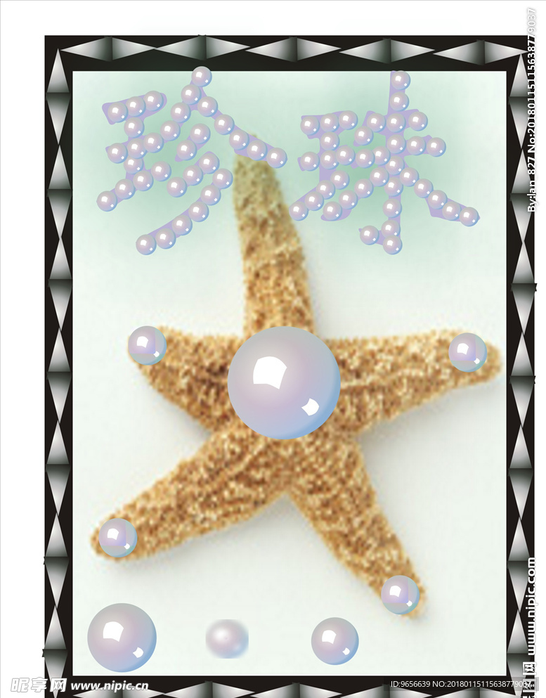 珍珠 五角星 海星