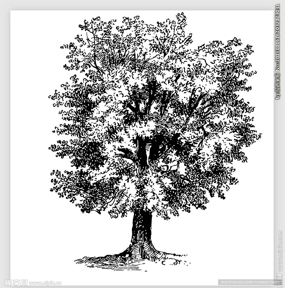 素描树矢量图图片
