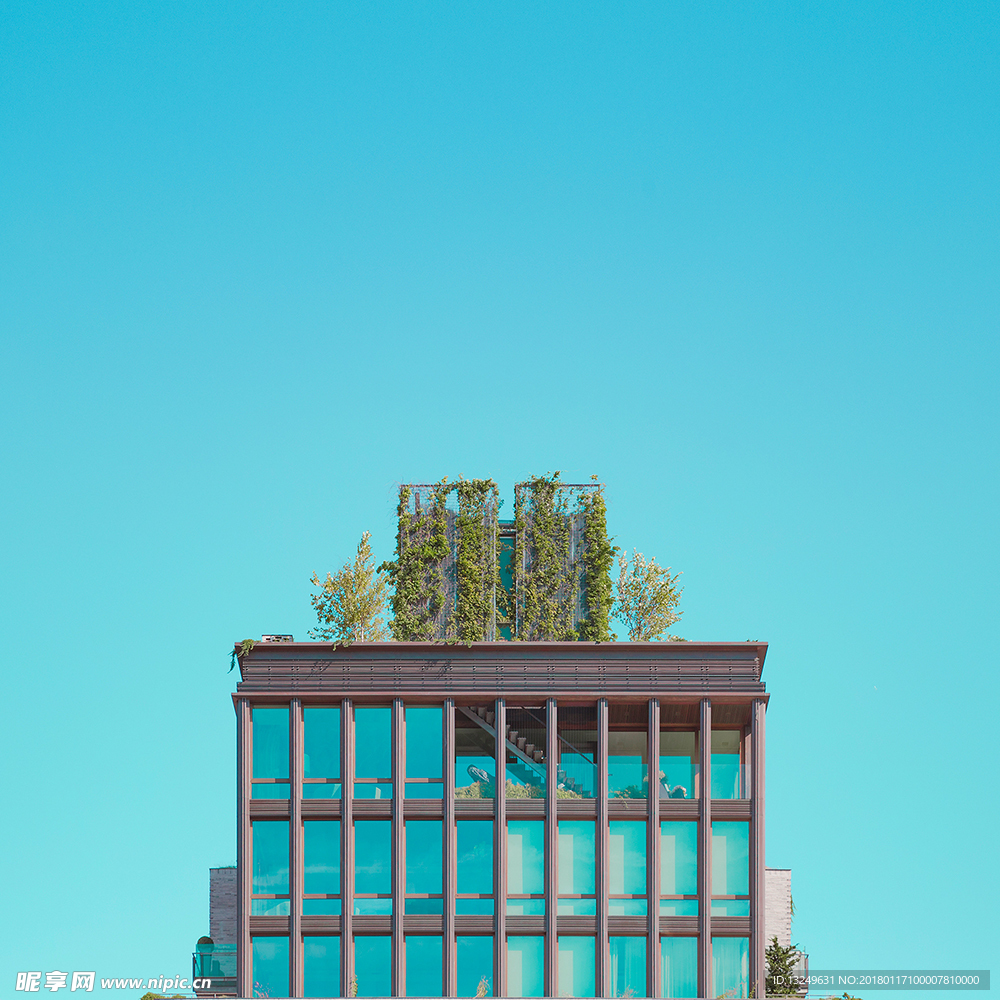 樓