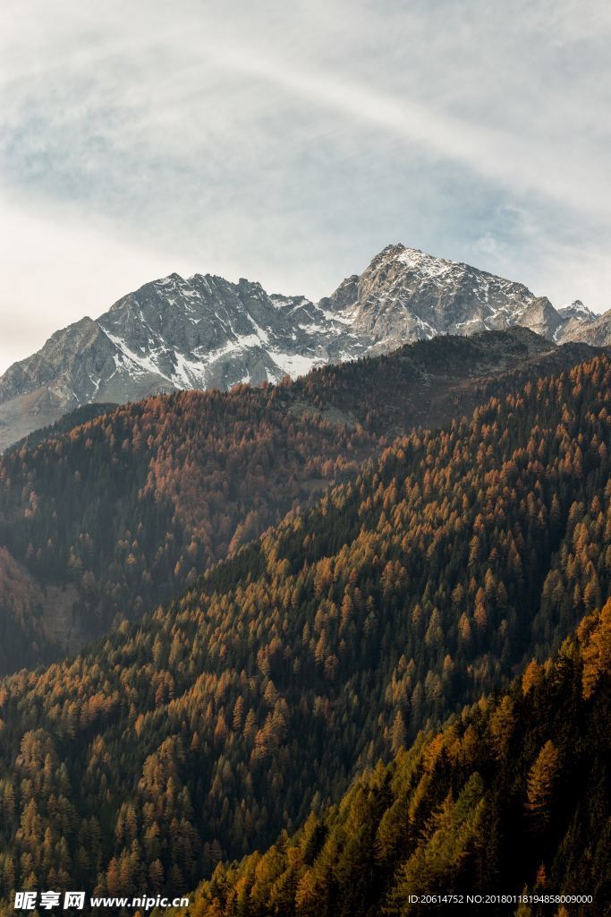 大山風光