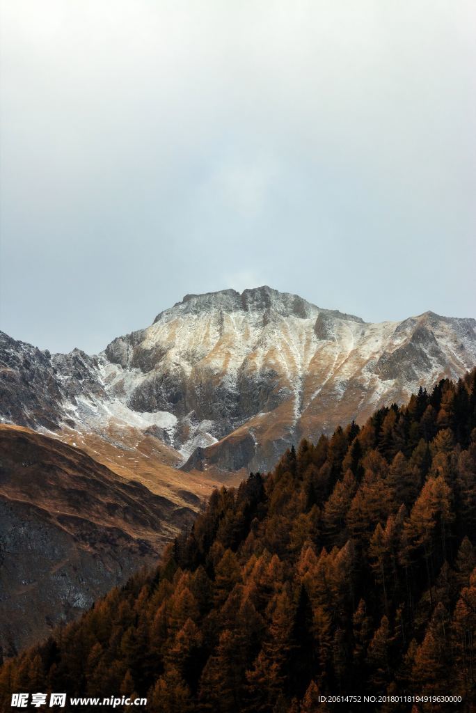 高山風光