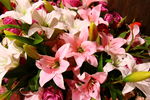 百合花