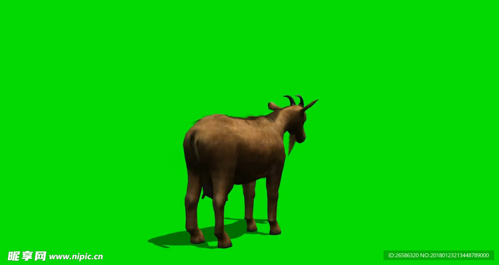 山羊绿屏抠像视频素材