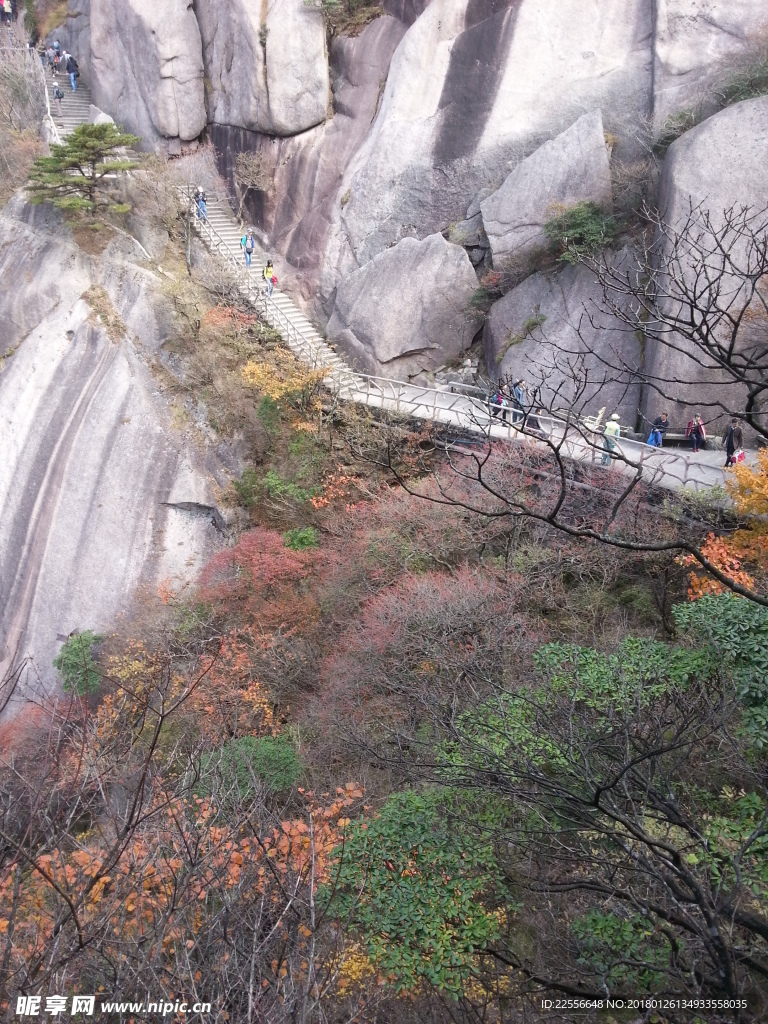 黃山