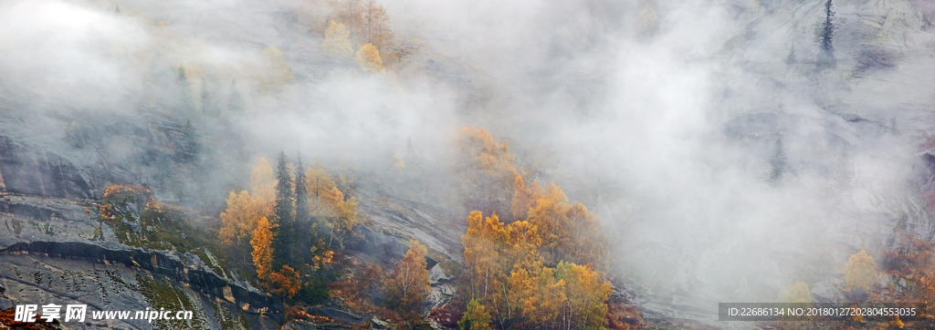 山坡植被烟雾拍摄