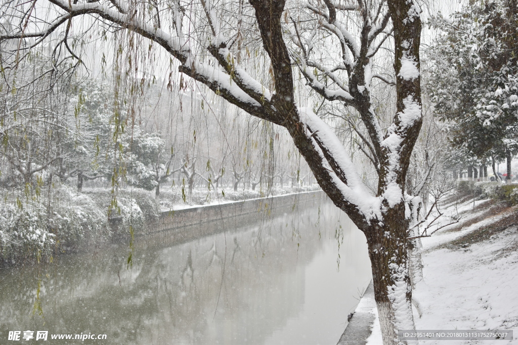 蘇州雪景