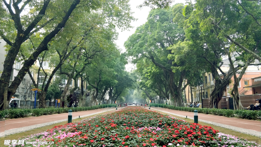 广州沙面主街道风景拍摄