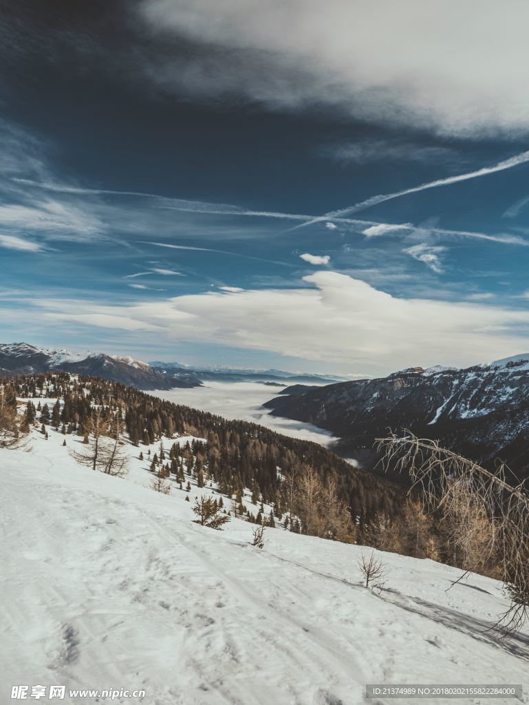 雪景