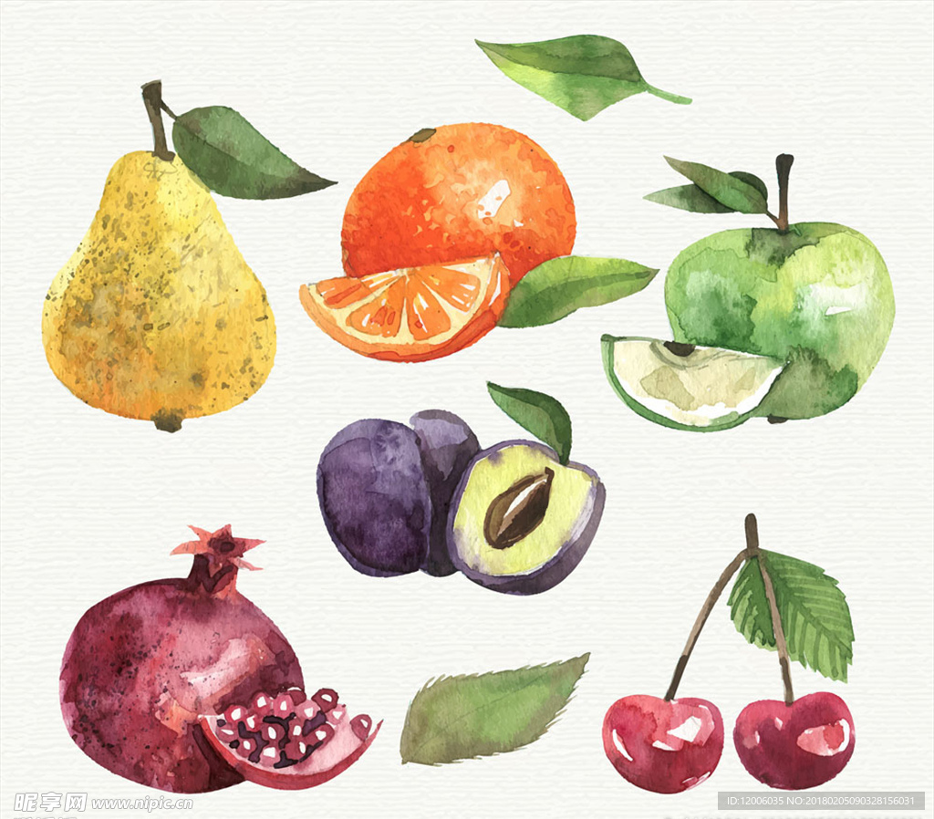 6款水彩绘水果矢量素材
