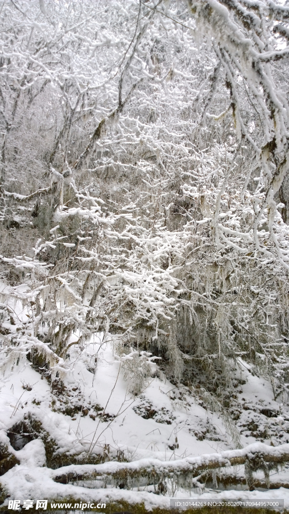 雪花