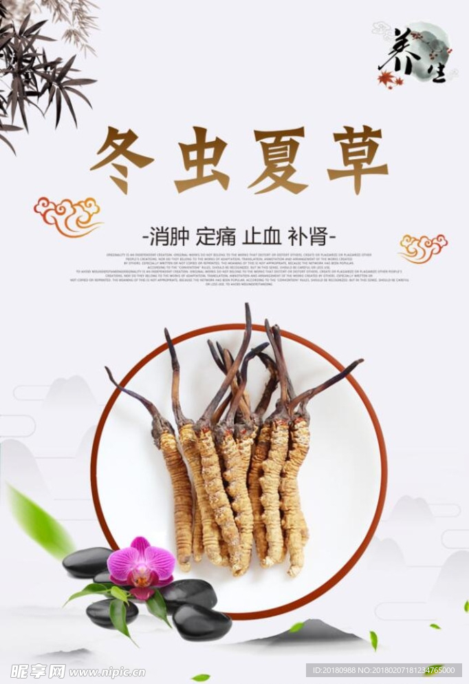 冬蟲(chóng)夏草