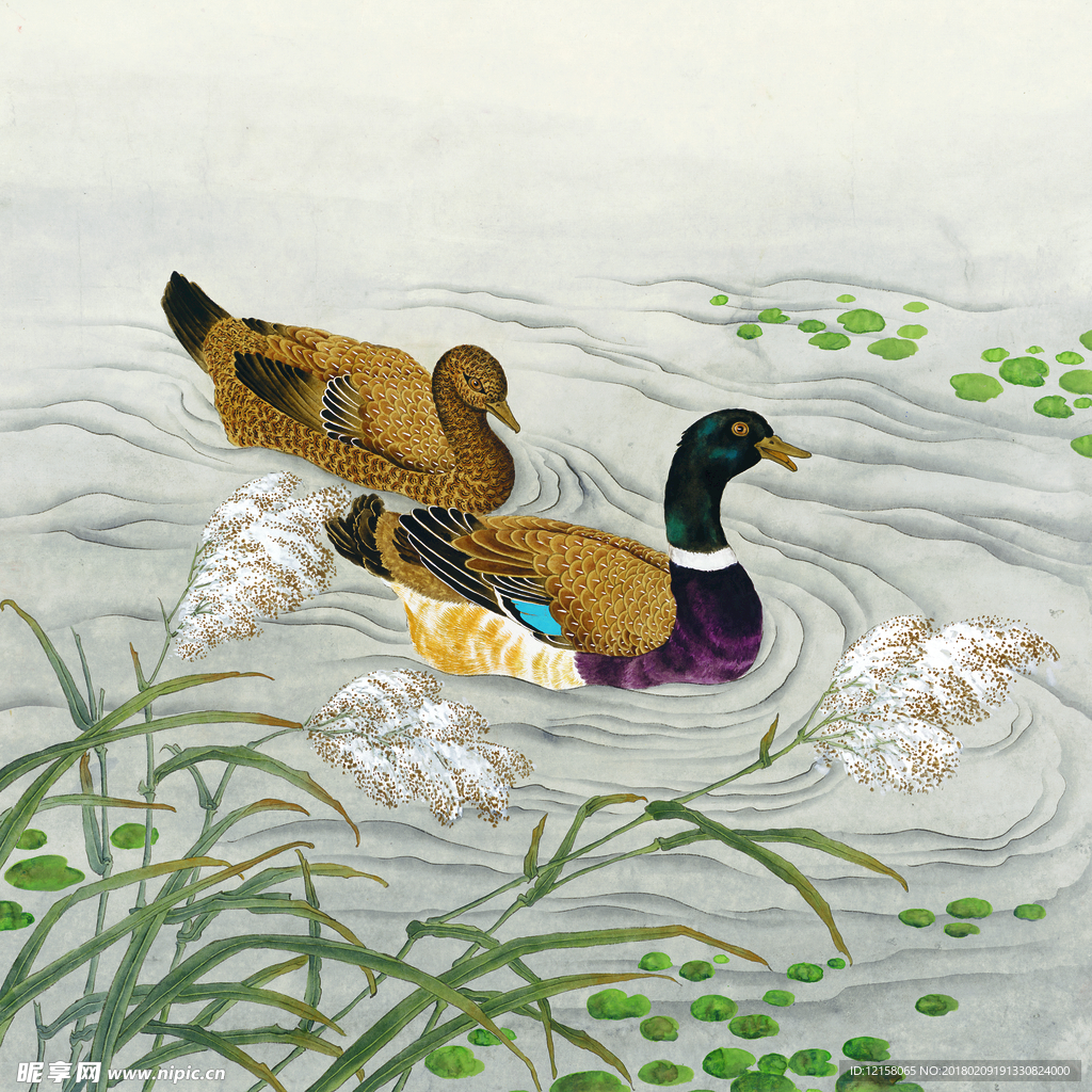 雙禽圖