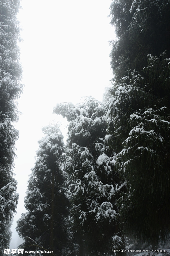 雪山徒步