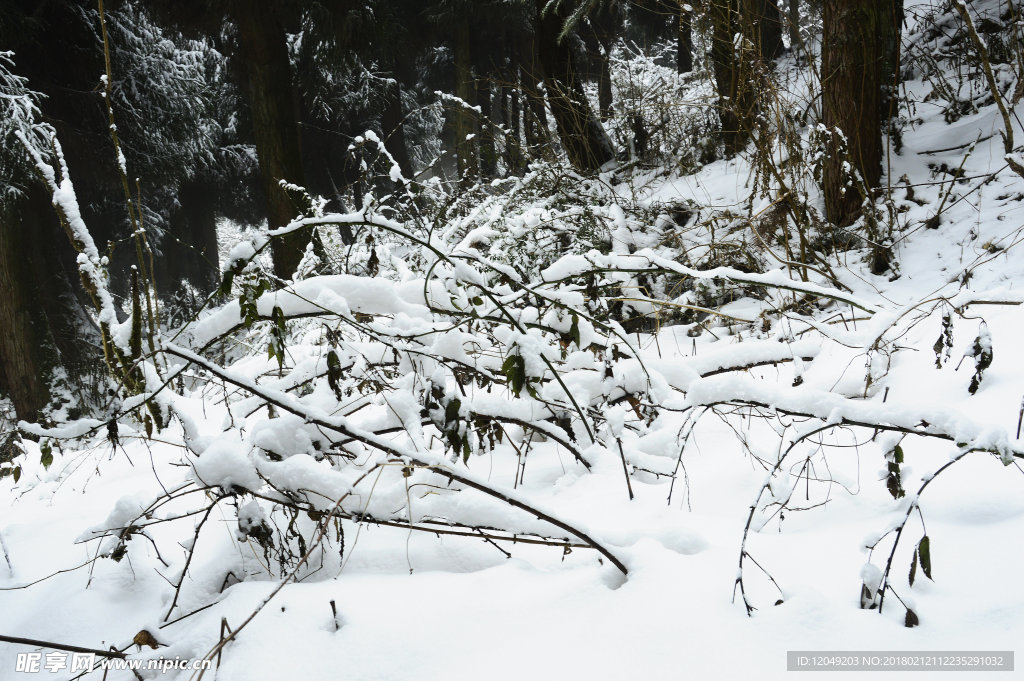 雪山徒步