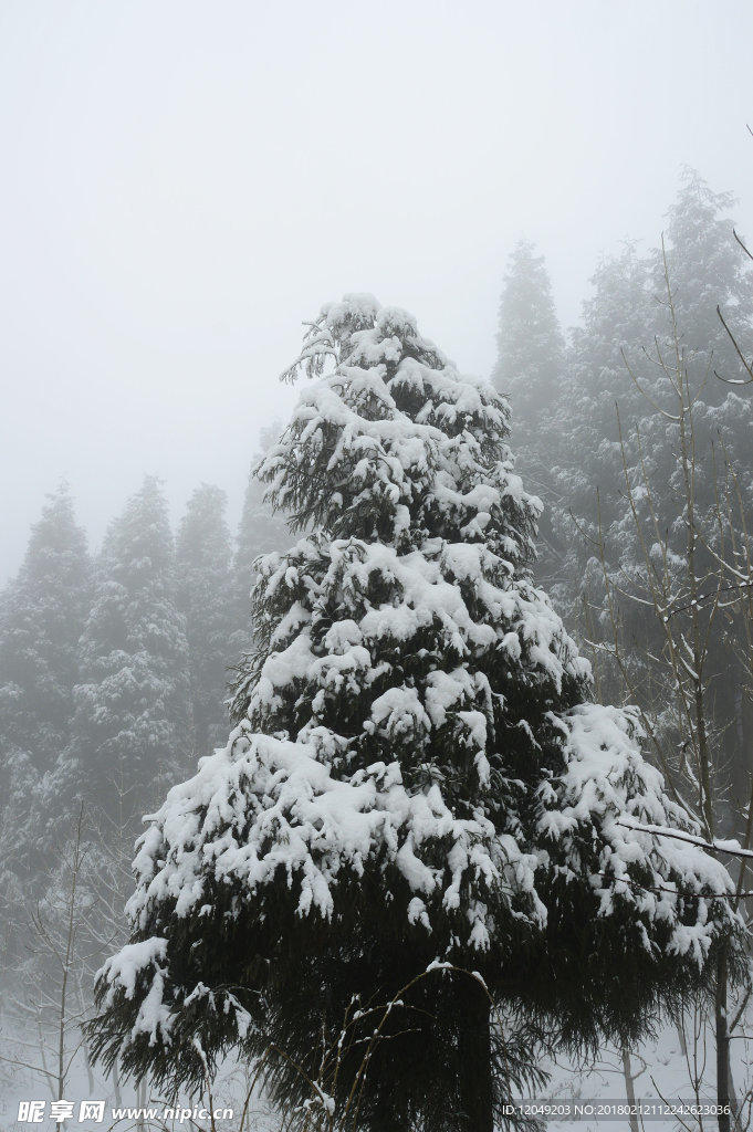 雪山徒步