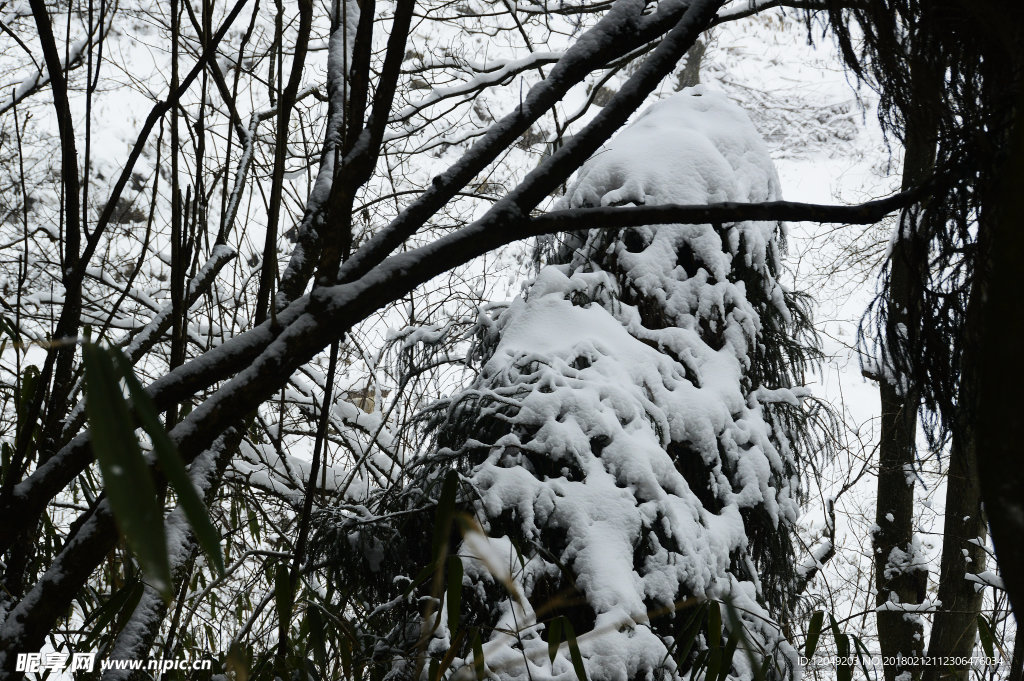 雪山徒步