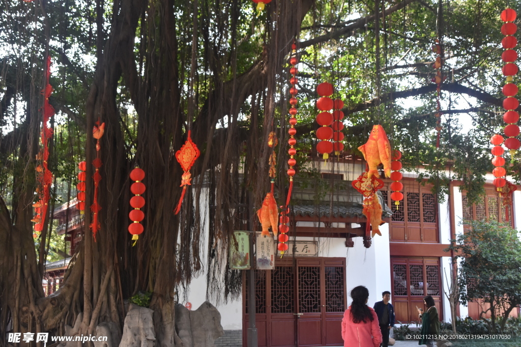 公園景點樹木和燈籠