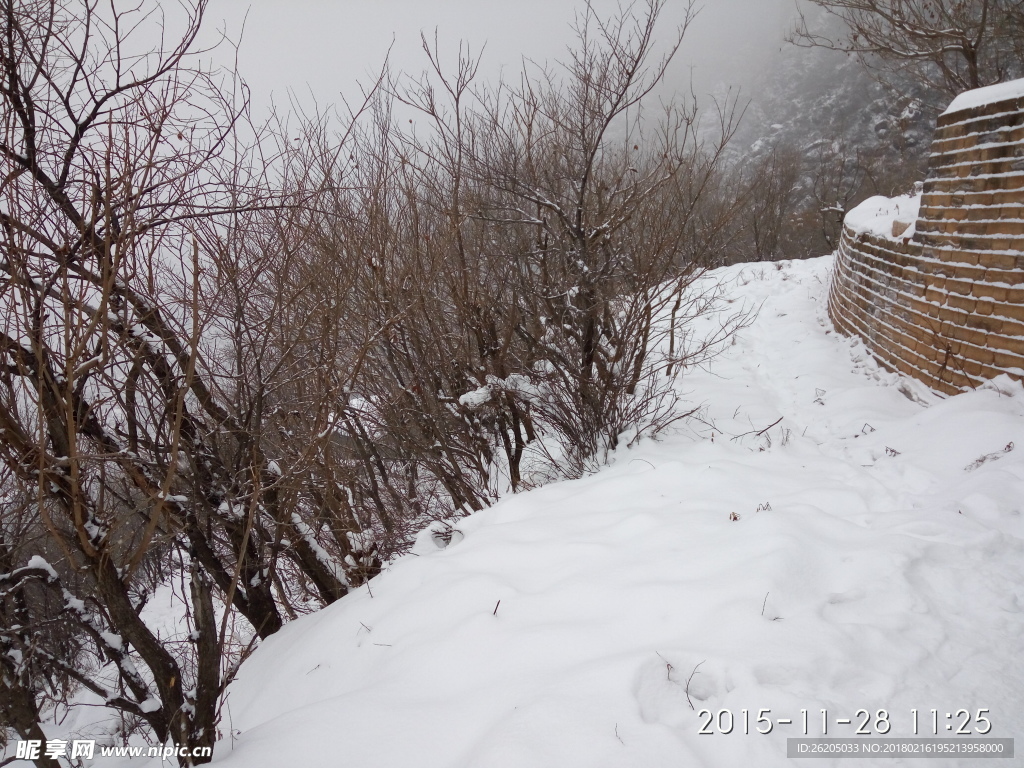 雪景