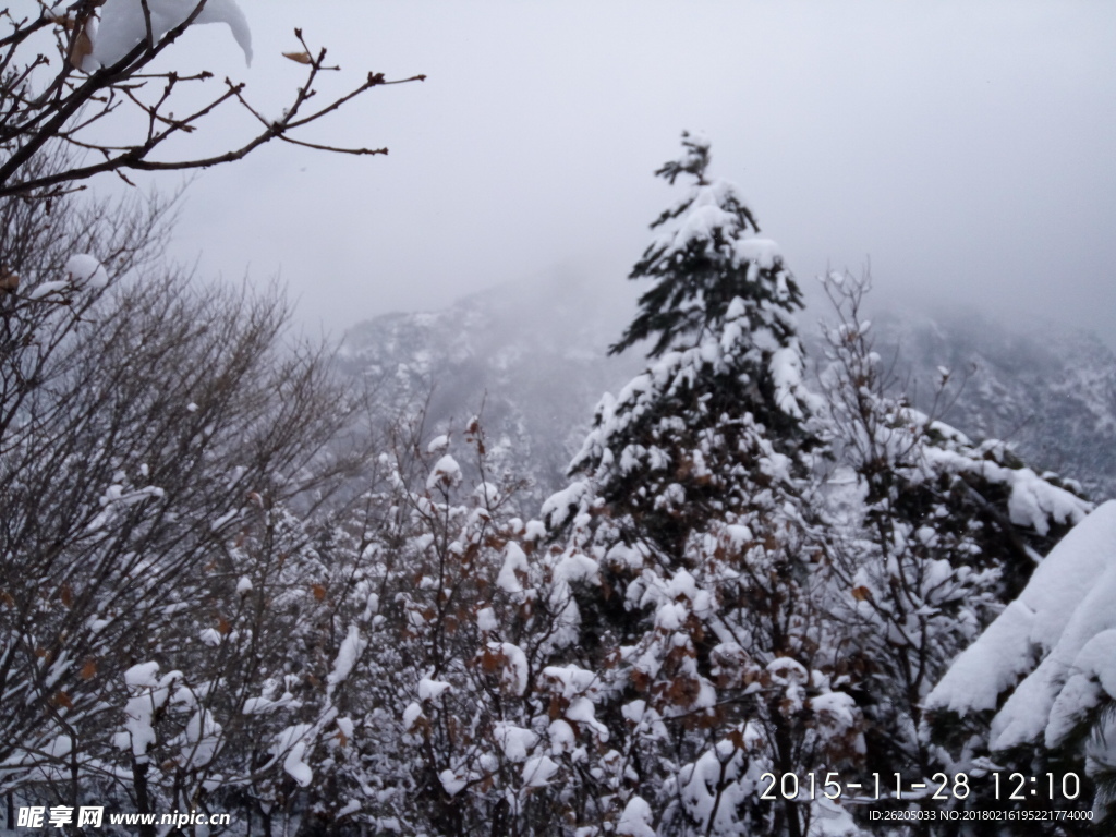 雪景