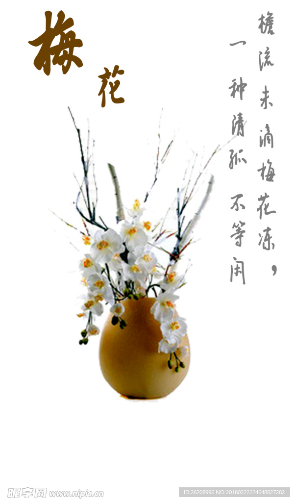 梅花