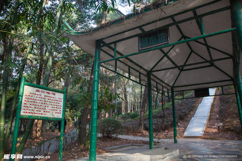 湖南省森林植物園