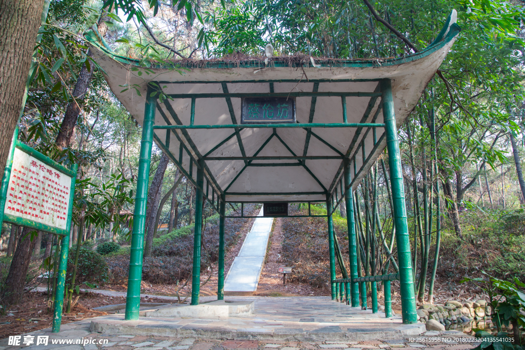 湖南省森林植物園