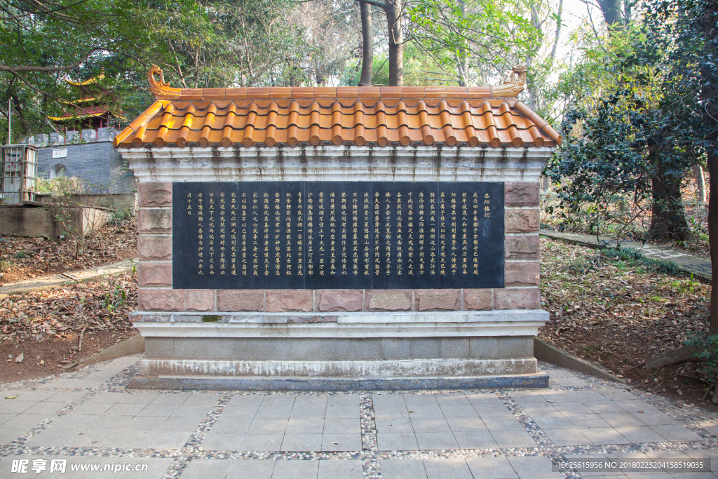 湖南省森林植物園